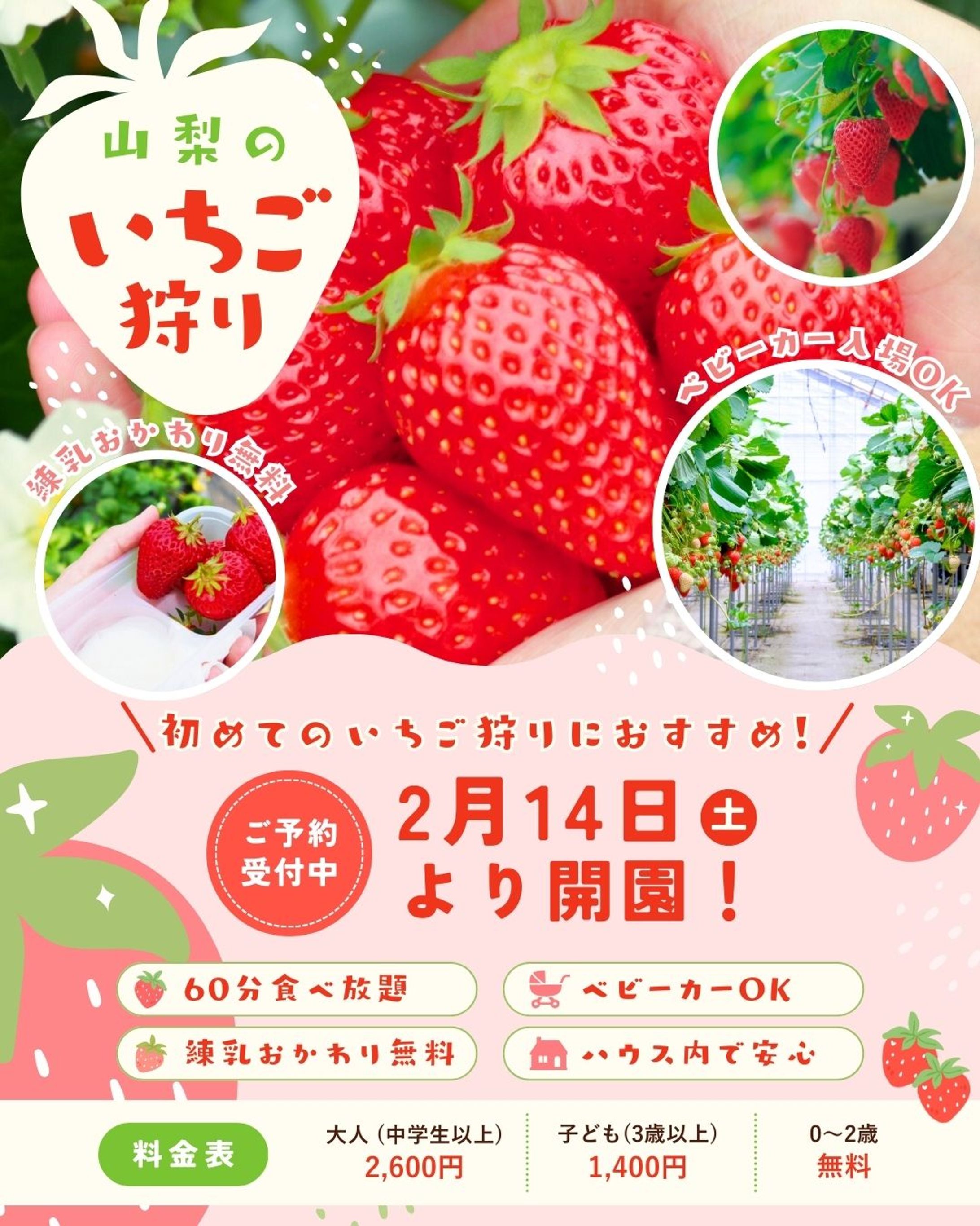 山梨いちご狩り｜ファミリー向け春キャンペーンバナー-1