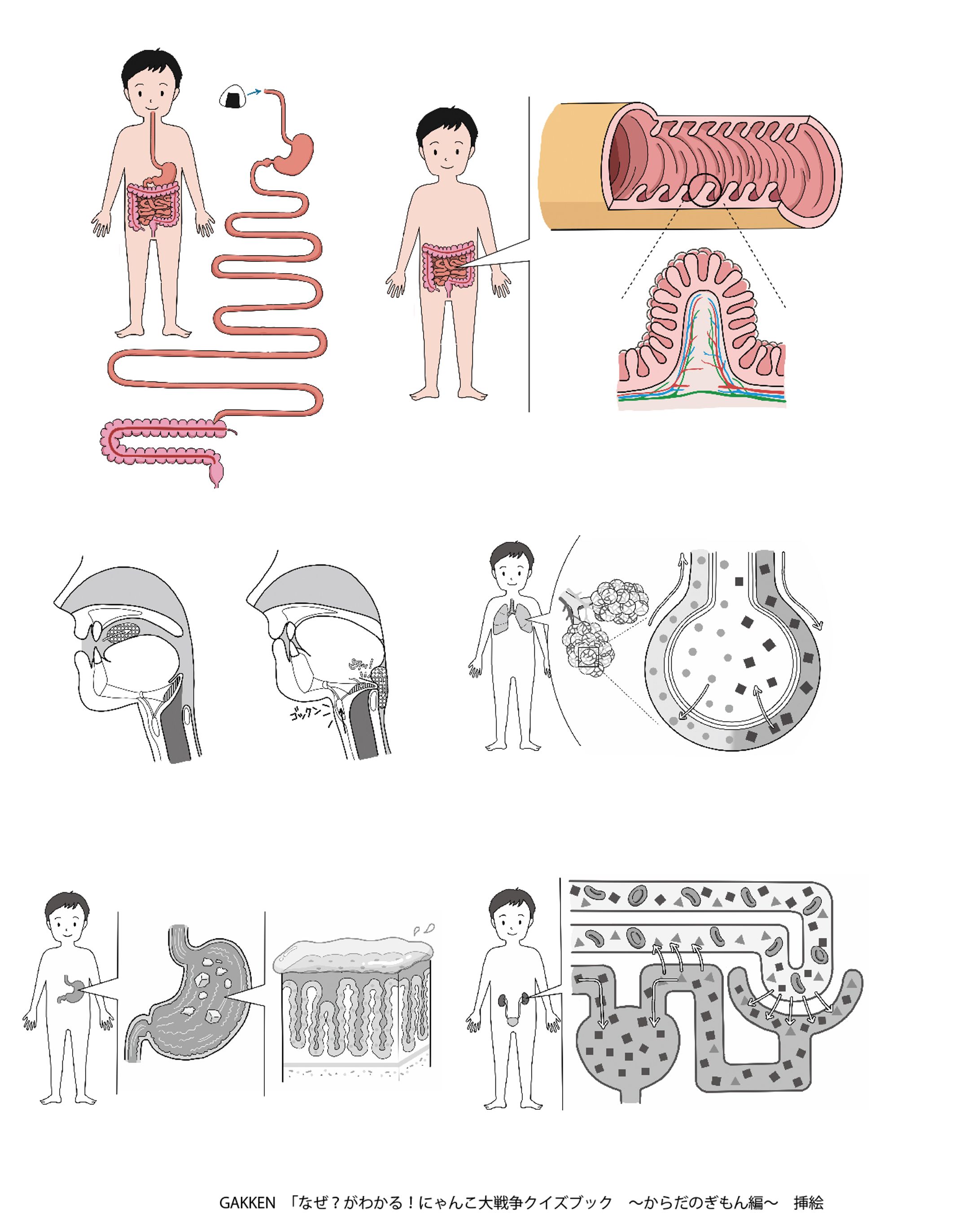 児童書クイズブック用挿絵-1