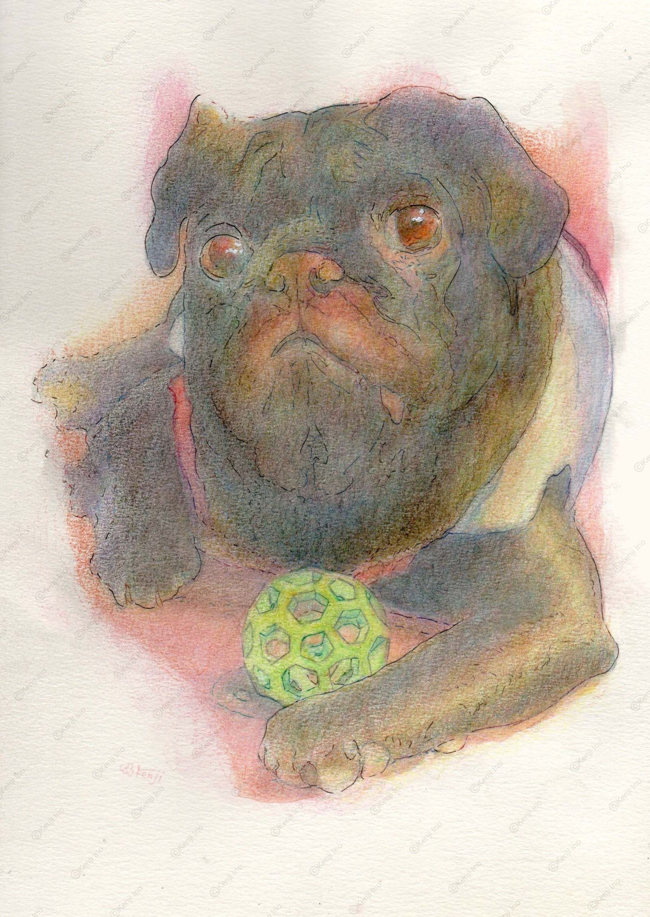 ユパちゃん_黒パグ-1