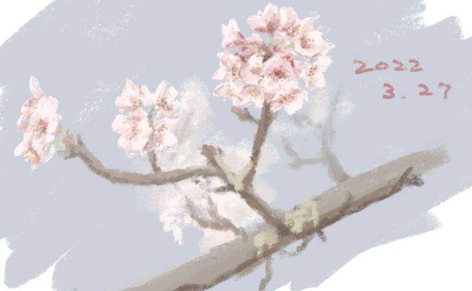sketch