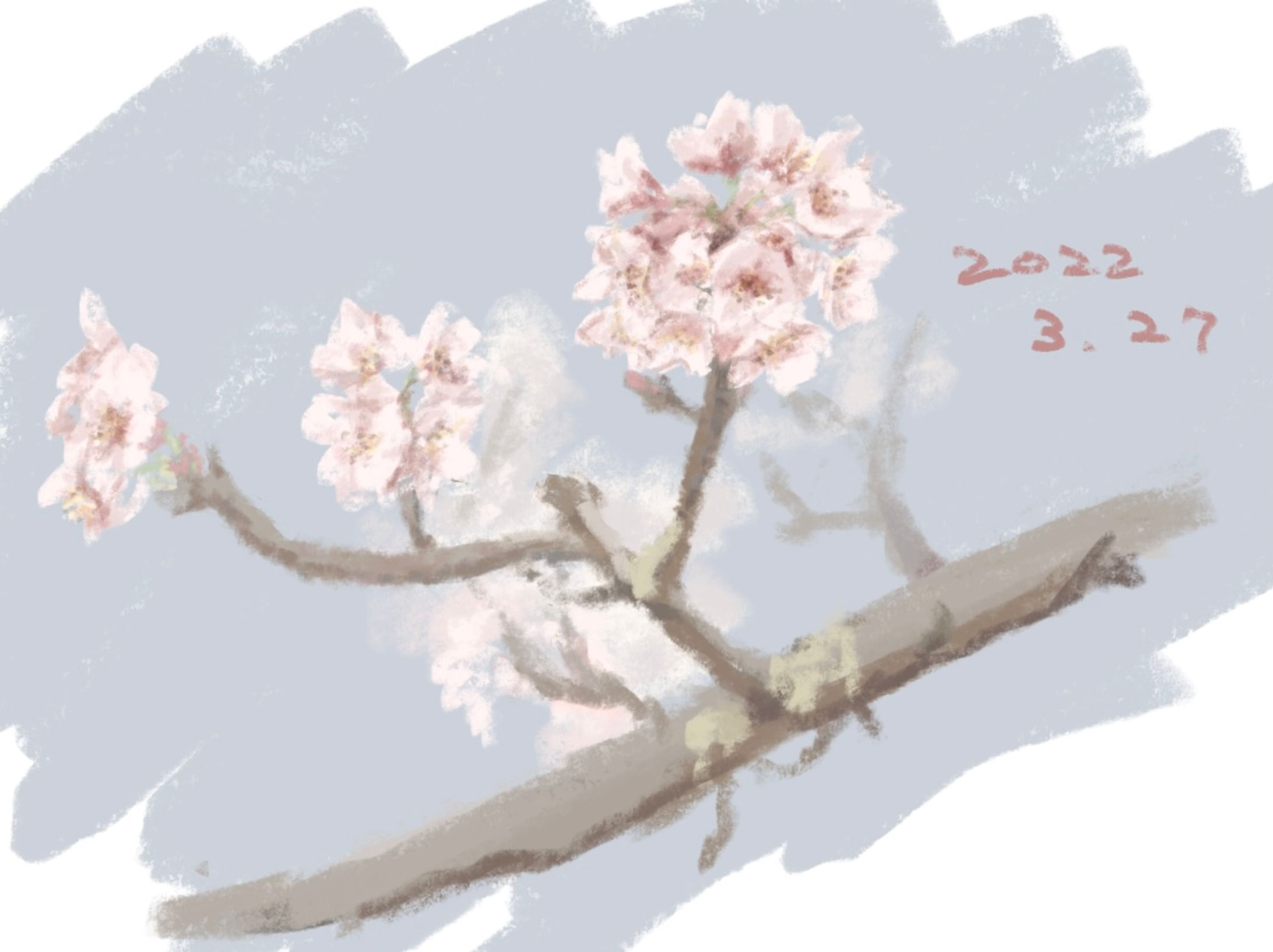sketch-1