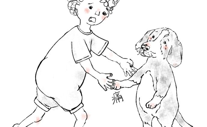 絵、animal
