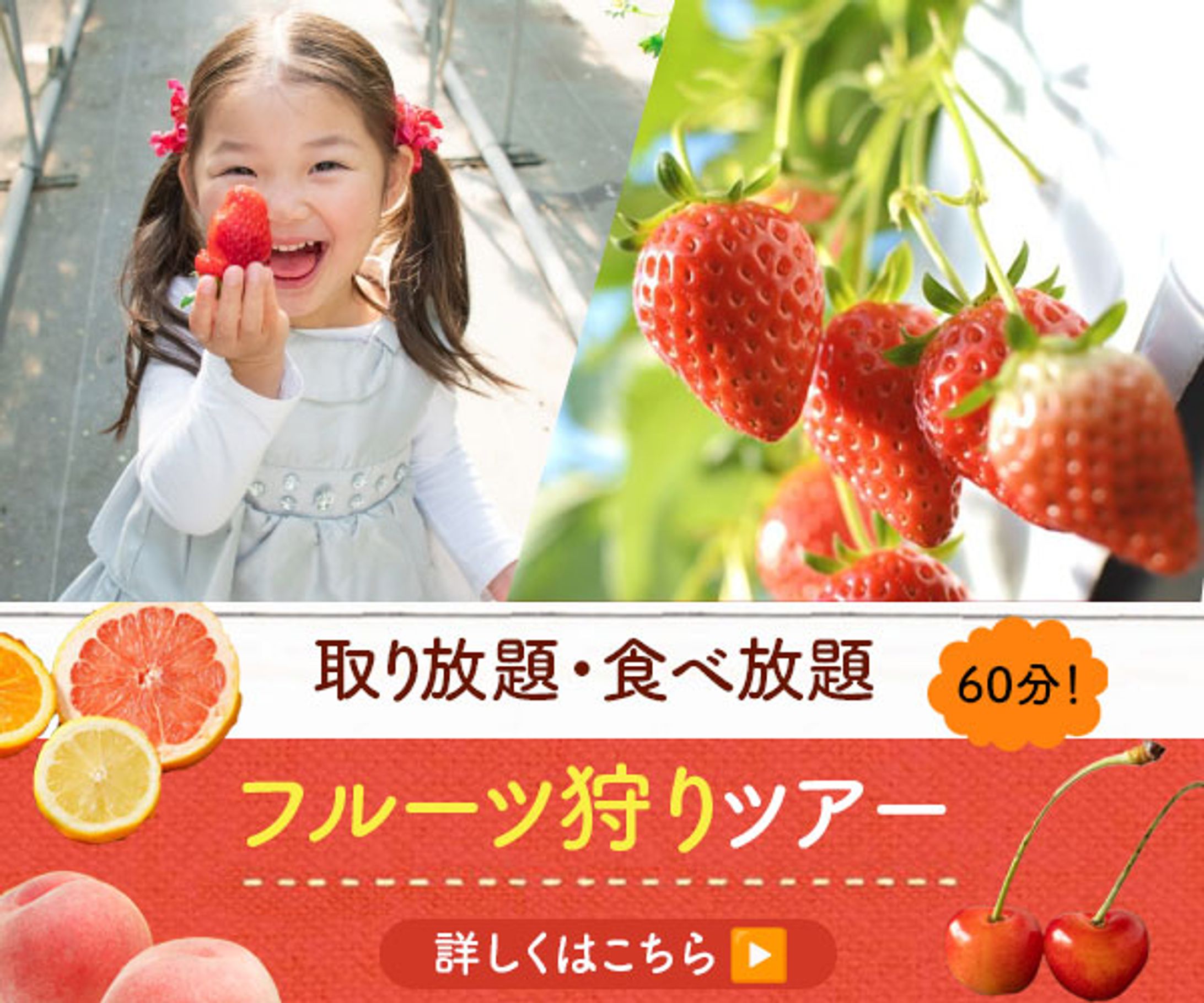 いちご狩りバナー-1