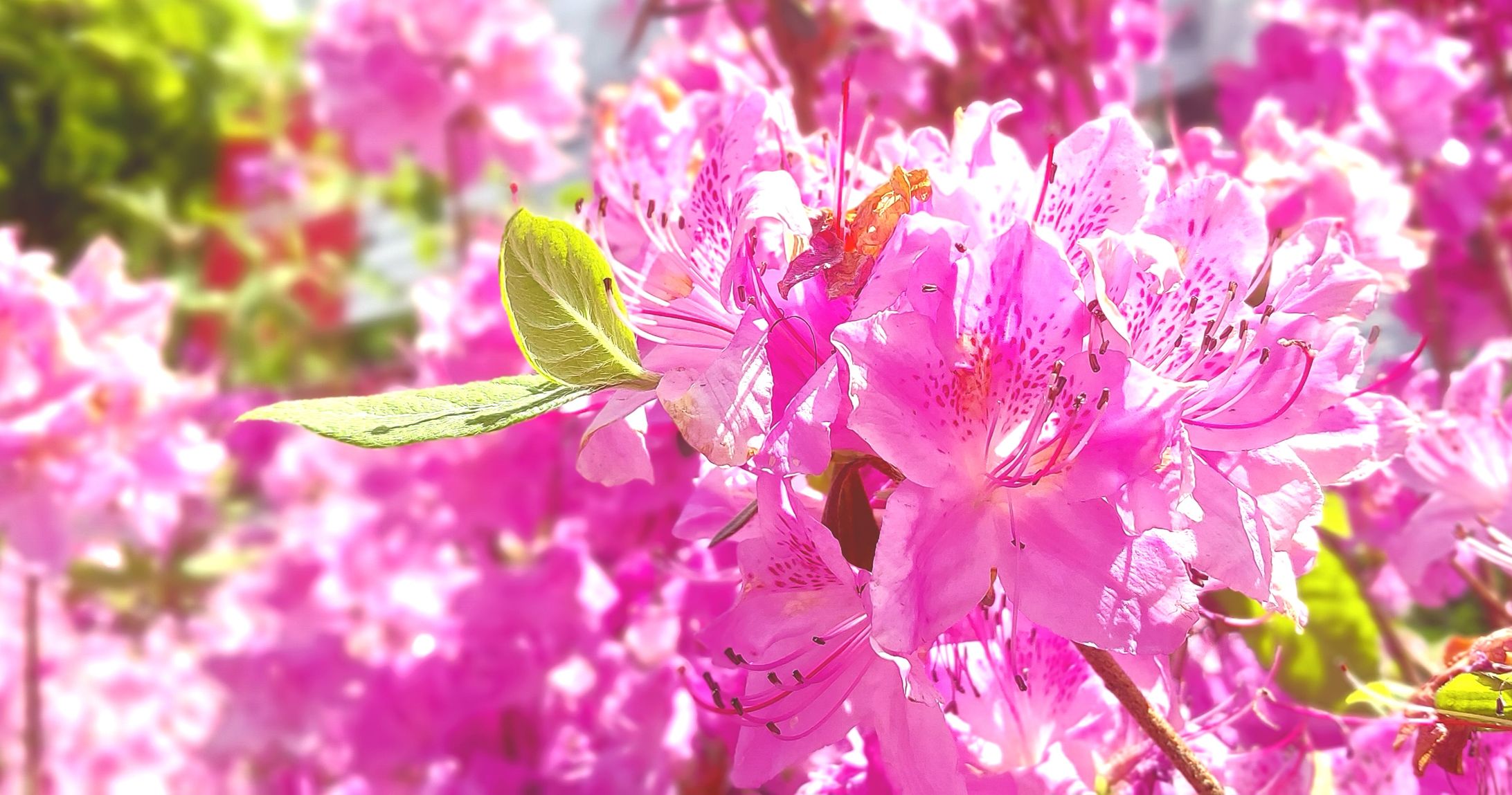 写真-1