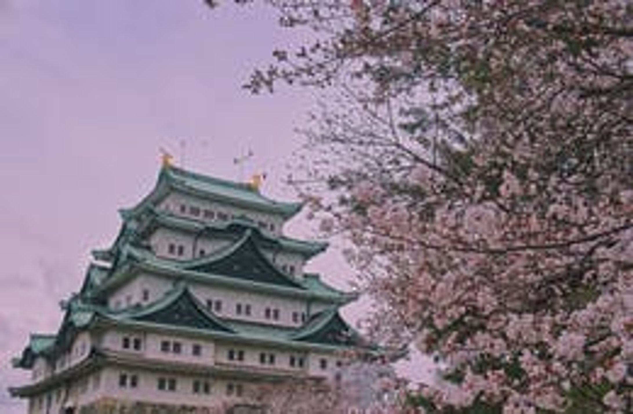 愛知県のホストタウンが地域活性化のため行う取り組みとは？キャンプ・ホームステイで国際交流-1