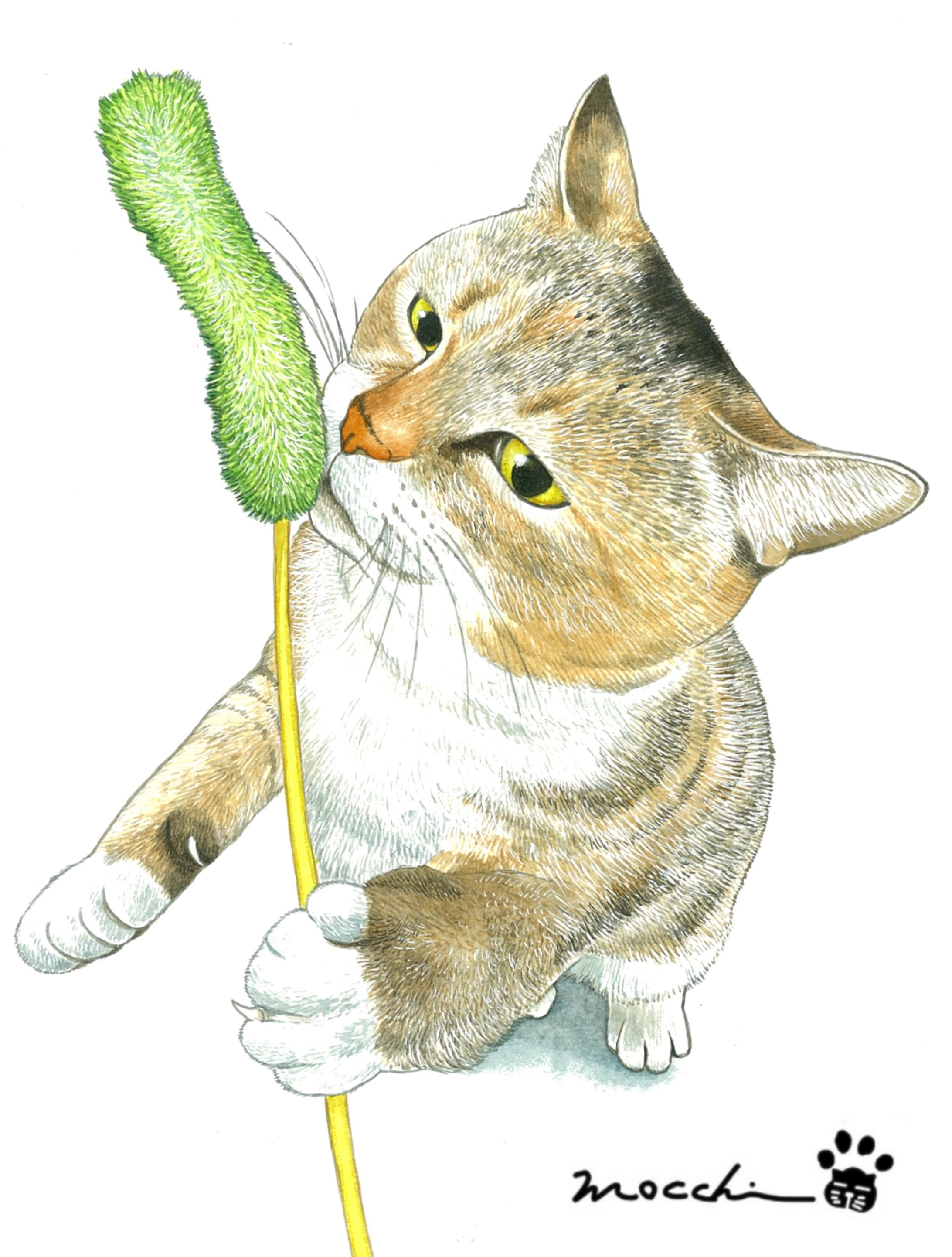 水彩三毛猫-1