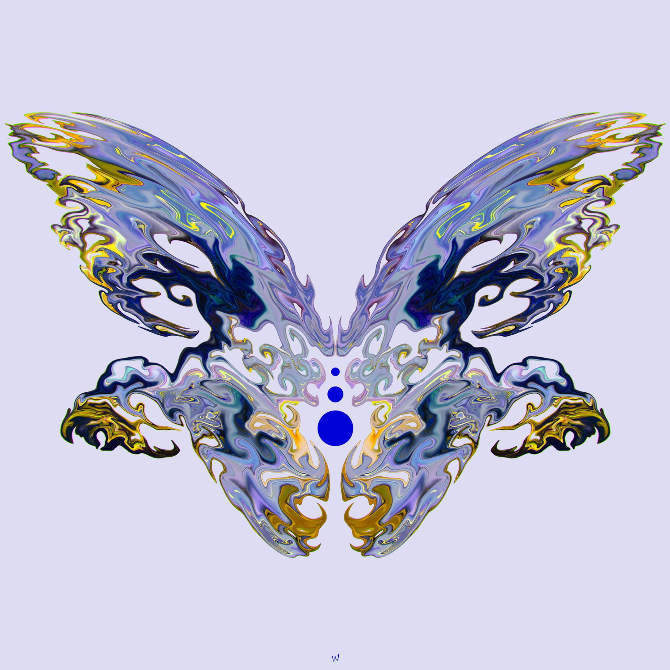 グラフィックアート 蝶 蛾-1