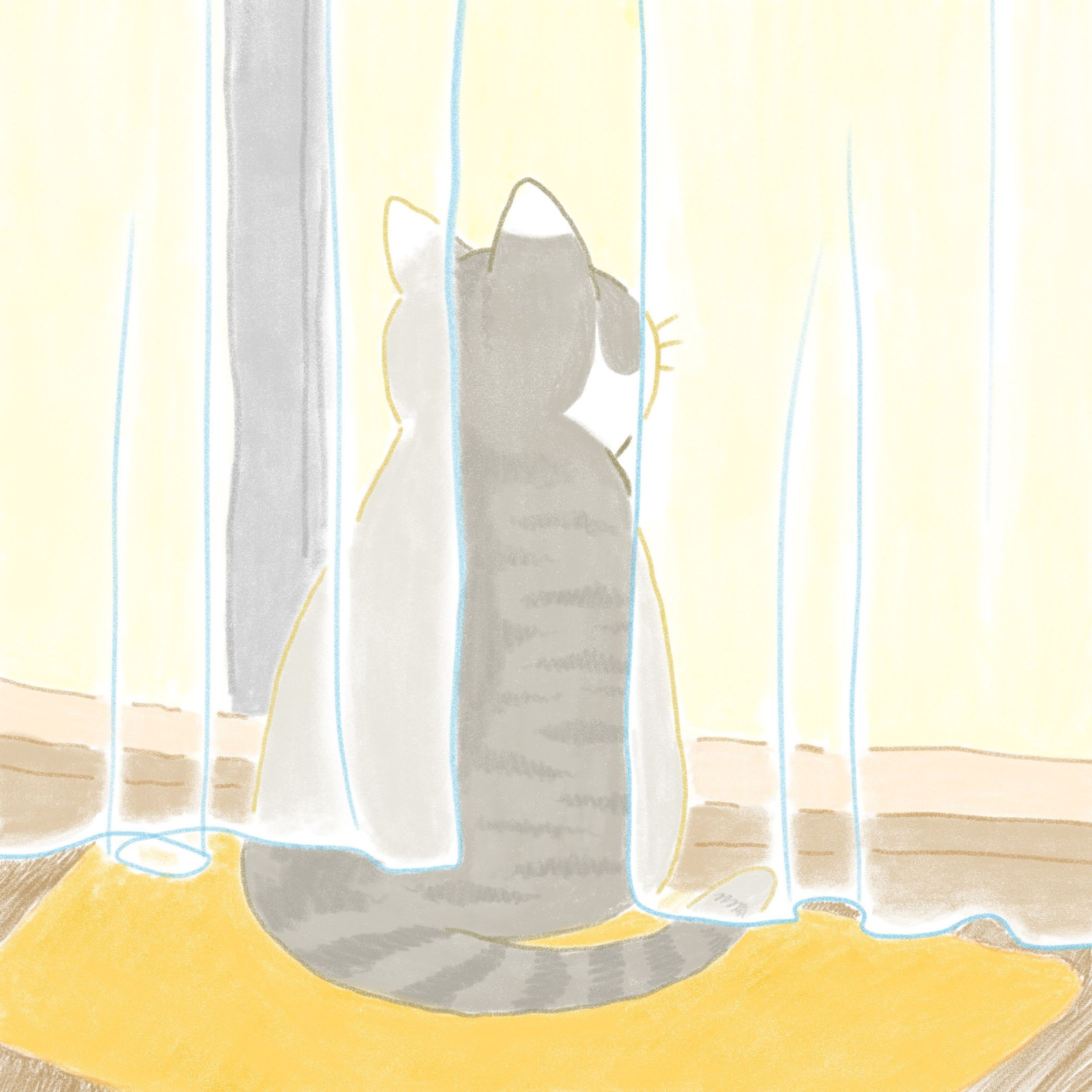 レースカーテンとねこ-1