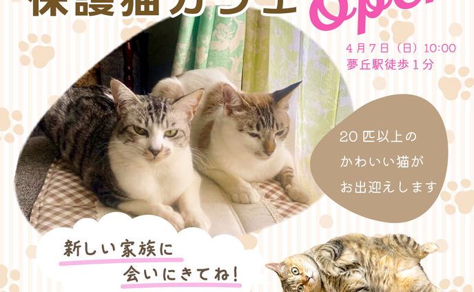 保護猫カフェのバナー