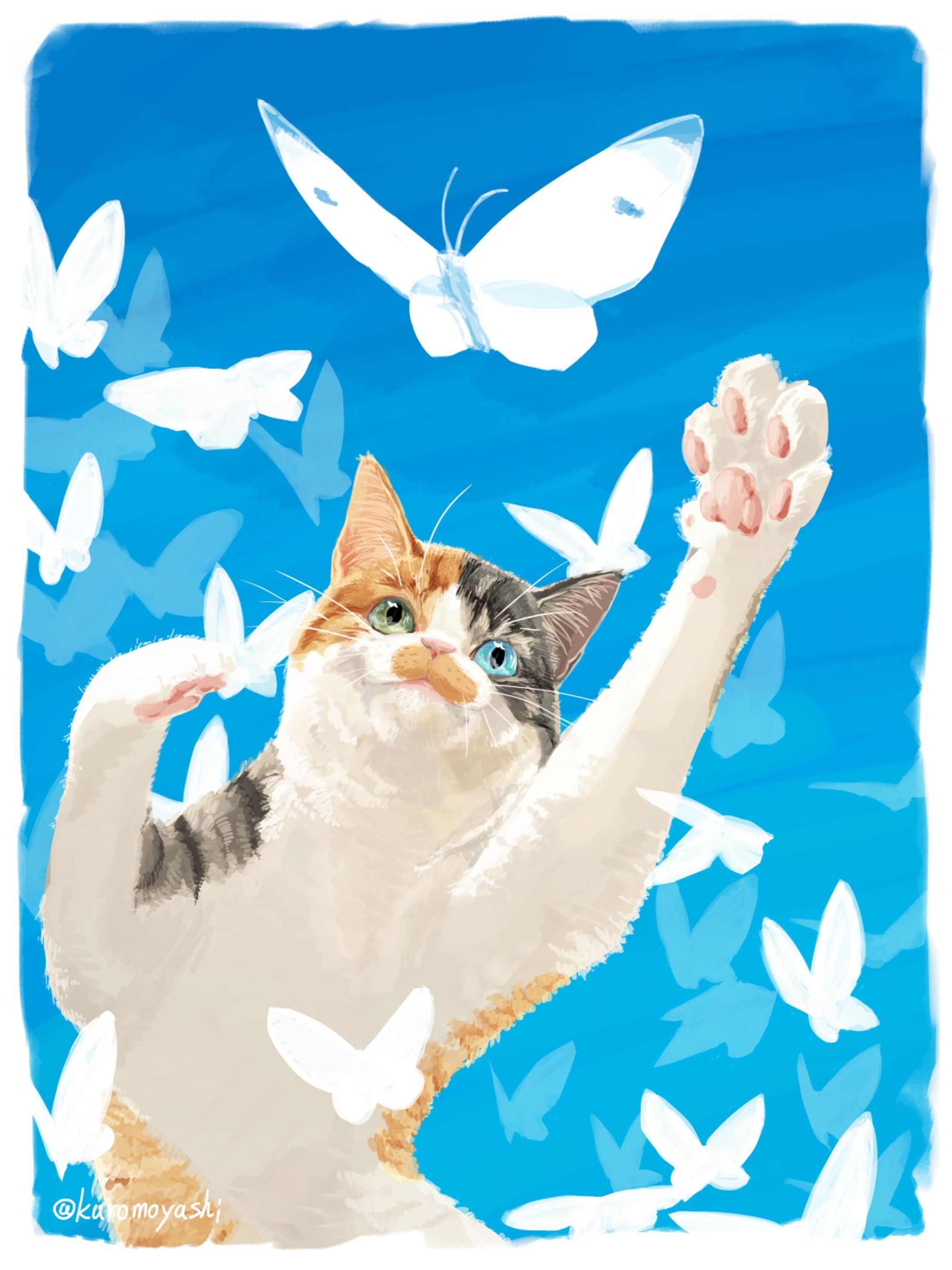 我が家の招き猫-1