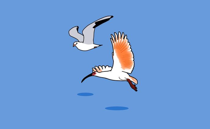 グラフィックデザイナー、イラストレーター、ネーミング