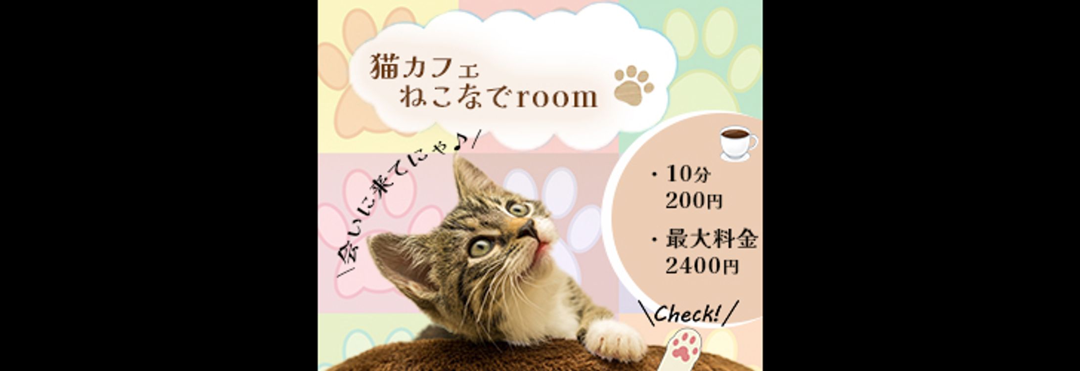 猫カフェ ねこなでroom-1