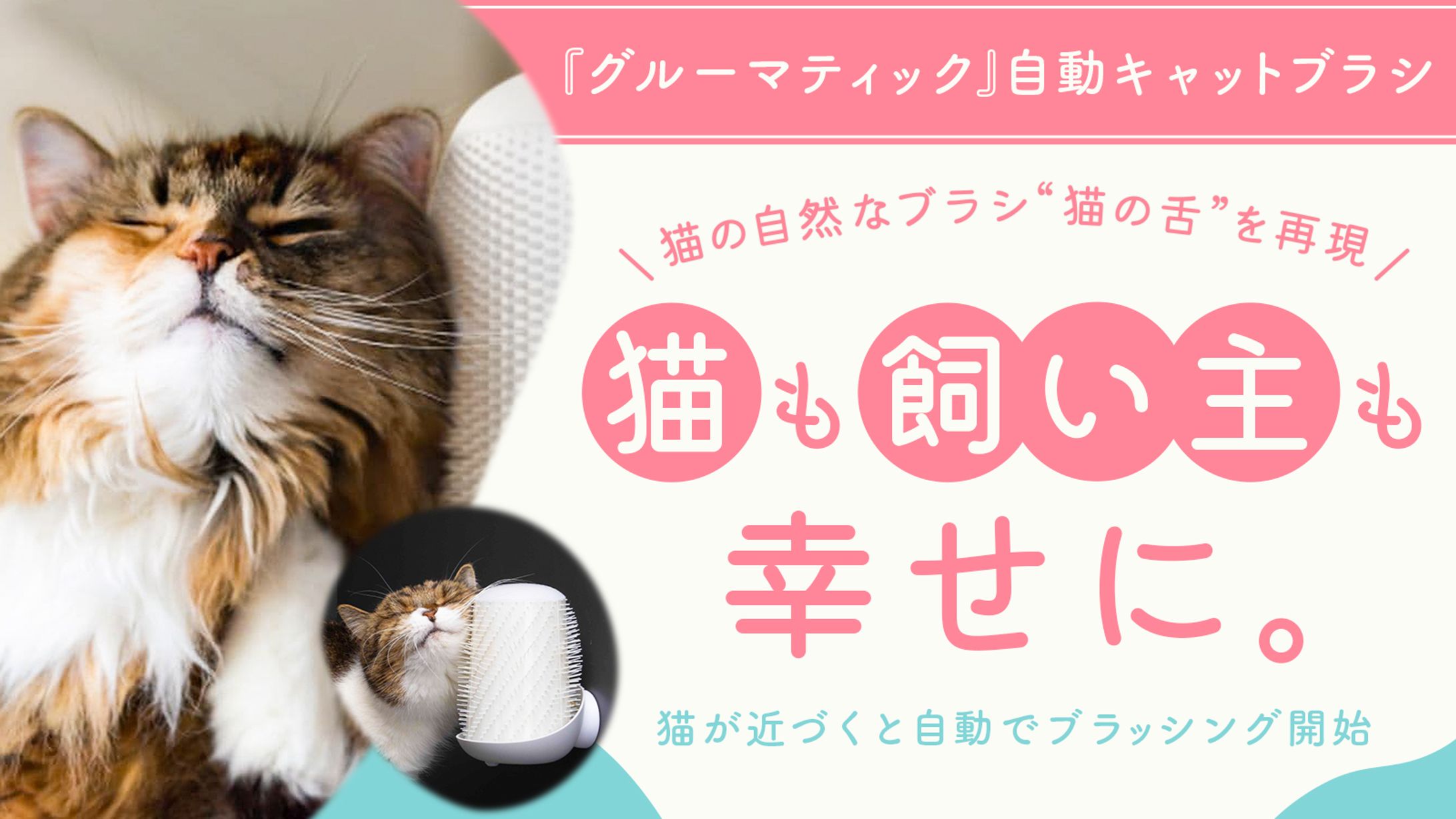 バナー：猫ブラシ-1