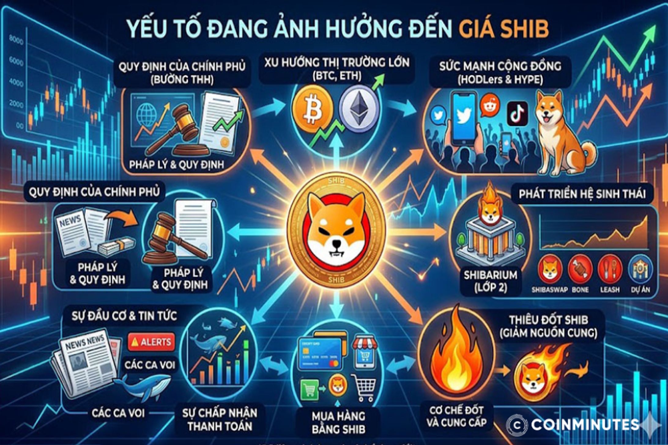Dòng tiền thị trường và tâm lý nhà đầu tư đang tác động đến giá SHIB như thế nào?-1