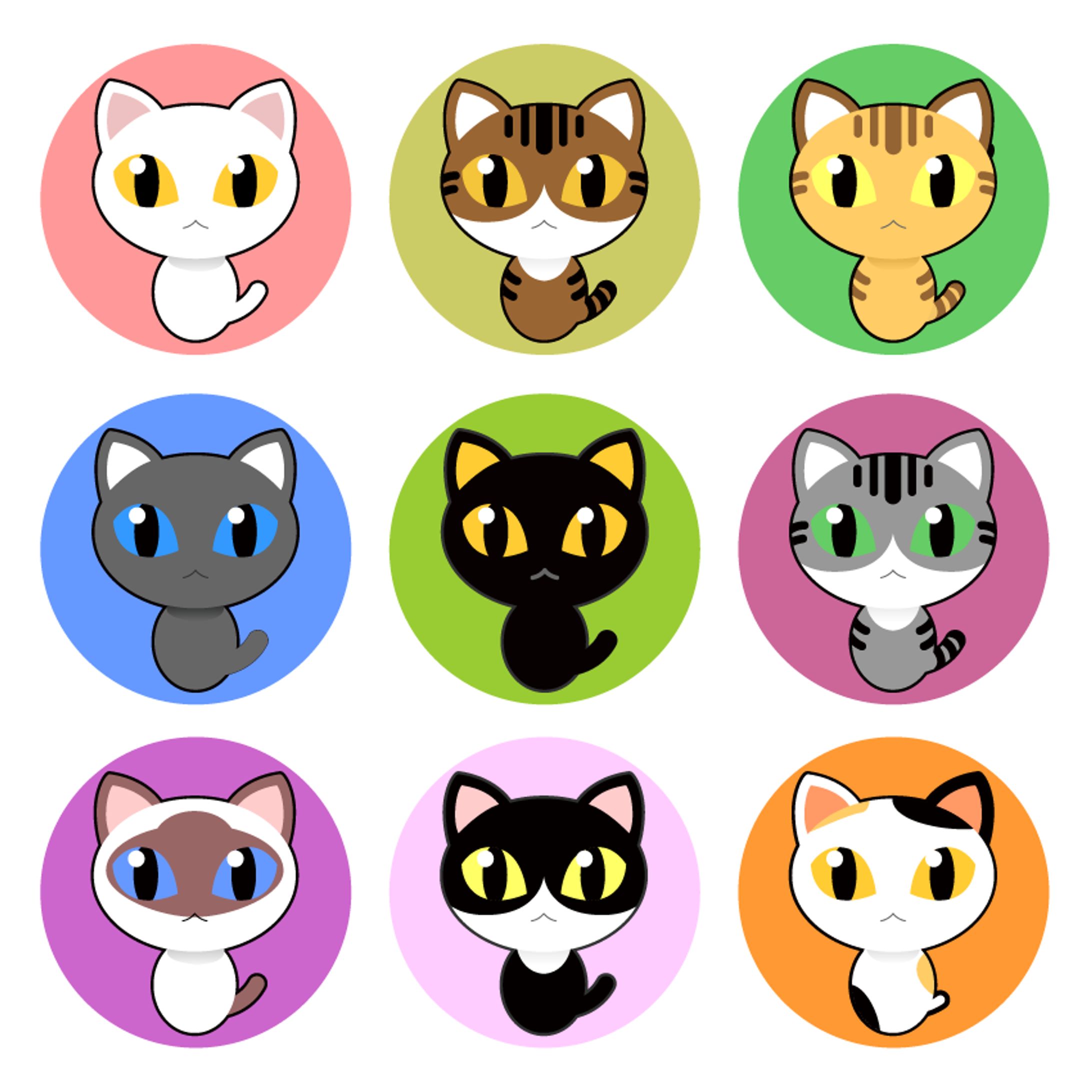 Cats-1