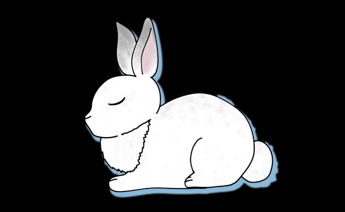 うさぎ
