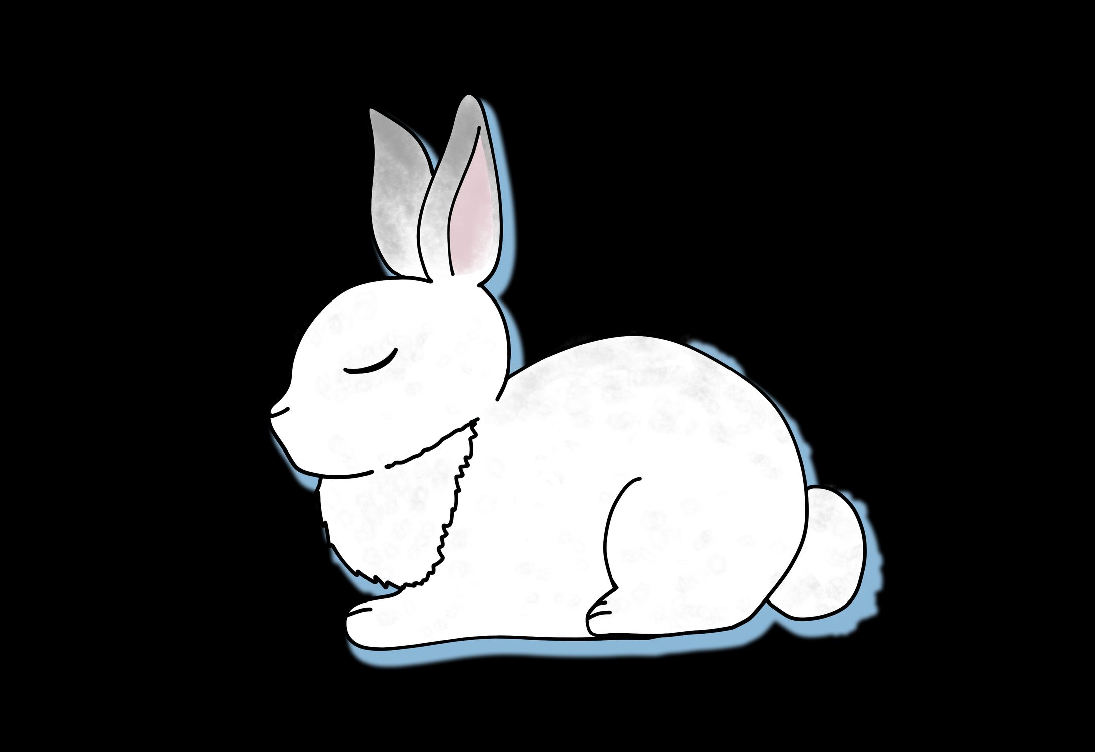 うさぎ-1