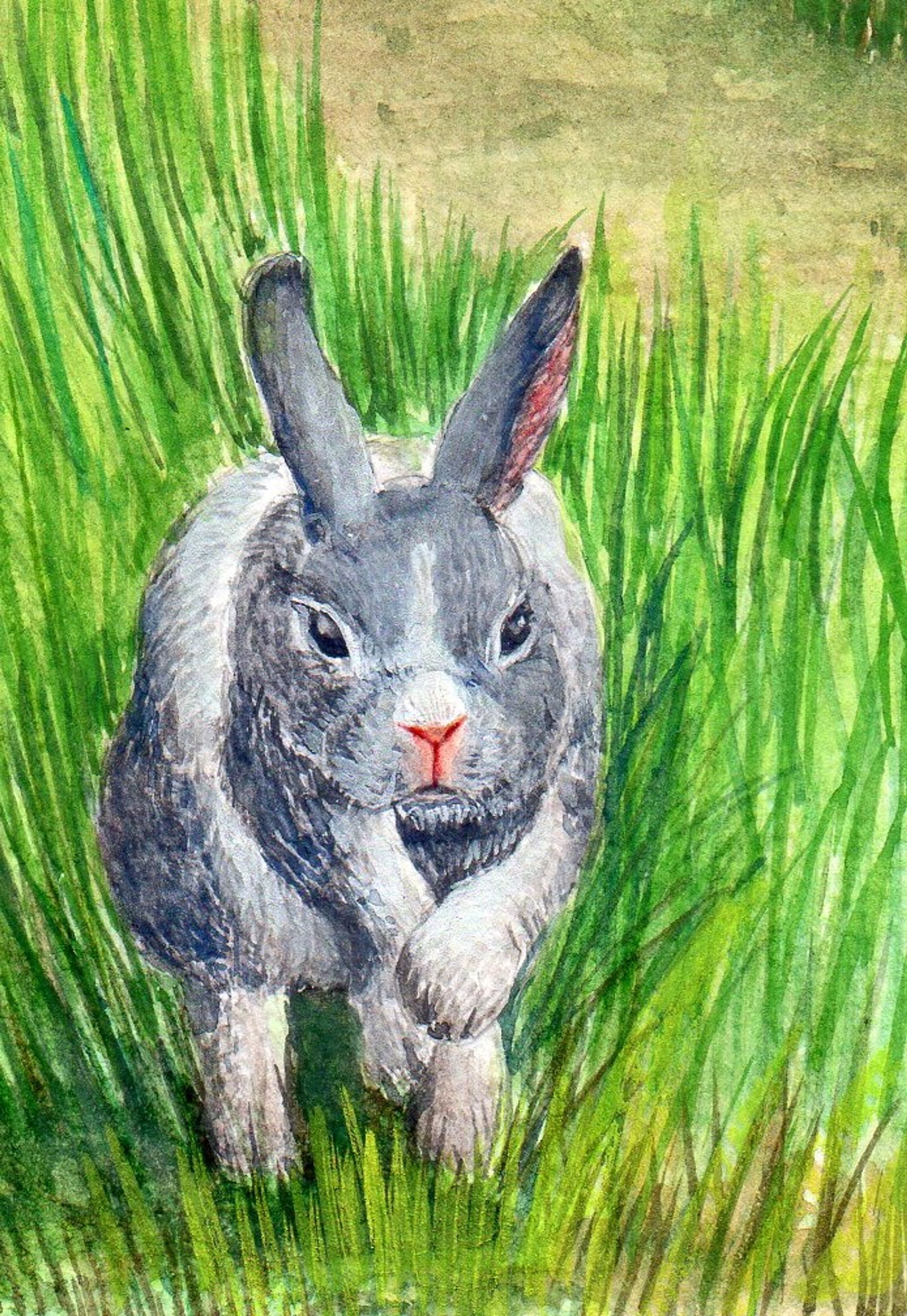 うさぎ-1