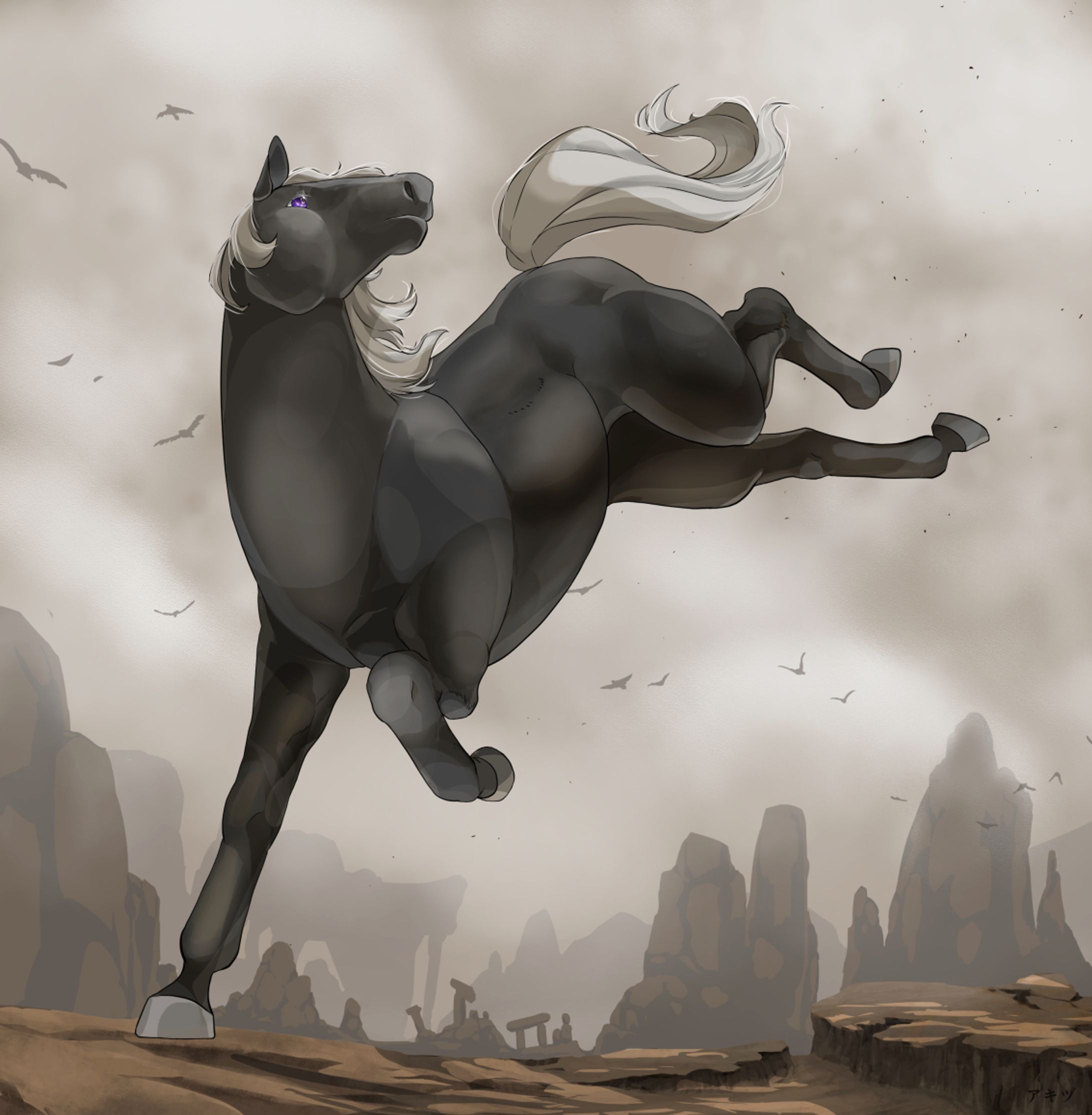 黒馬-1