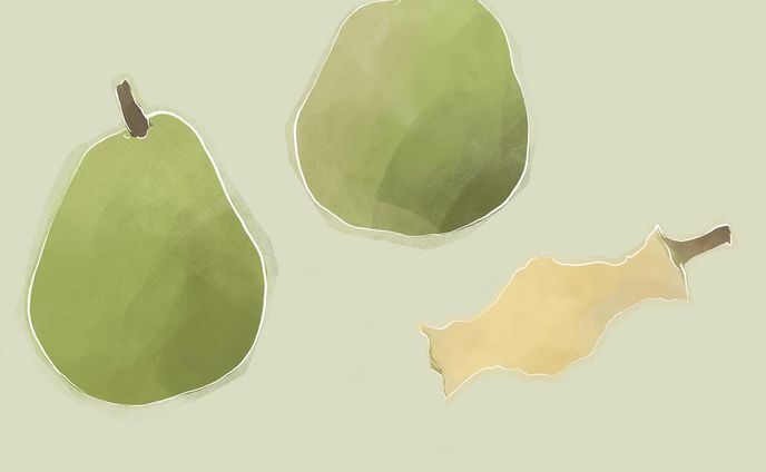 ・

two La franse
洋梨ふたつ🍐🍐

ひとつ、みっつときてふたつも欲しいなぁと

みっつなのかふたつなのか
判断が難しい
世界もそういうことだらけ

ネトフリのFirst Love 初恋を一気観してからの夫も観るとのことで2周しました🤭
どさんこで世代もどんぴしゃです
若い也英と晴道が可愛すぎる🧚

#art #drawing #chill #relax #nft #nftart #adobefresco #illustration #fruit  #lafrance #nftart #textiledesign #フルーツ  #ラフランス #洋梨 #絵本 #挿絵 #装画 #北欧 #テキスタイル #イラストレーターさんと繋がりたい #firstlove初恋 #初恋 #宇多田ヒカル #firstlove