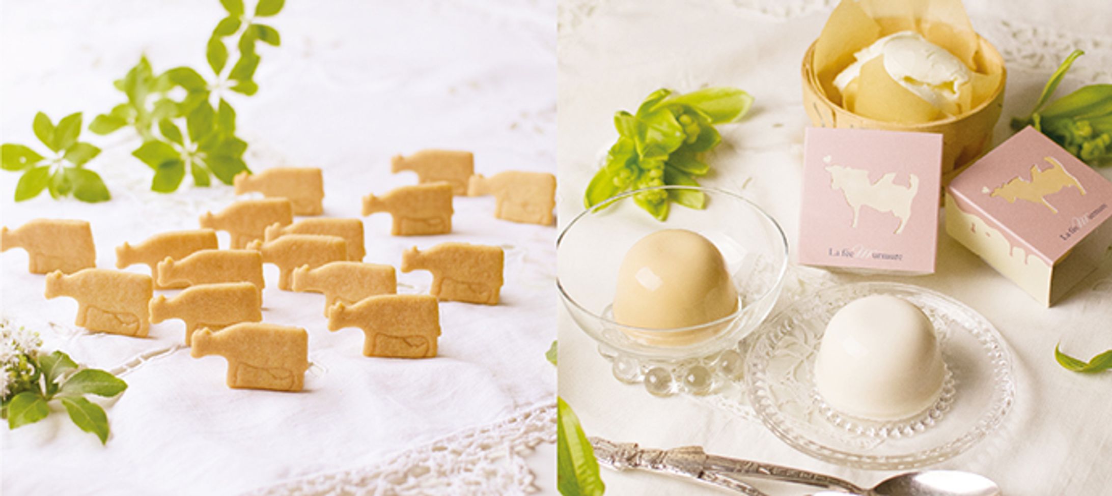 パッケージデザイン-1