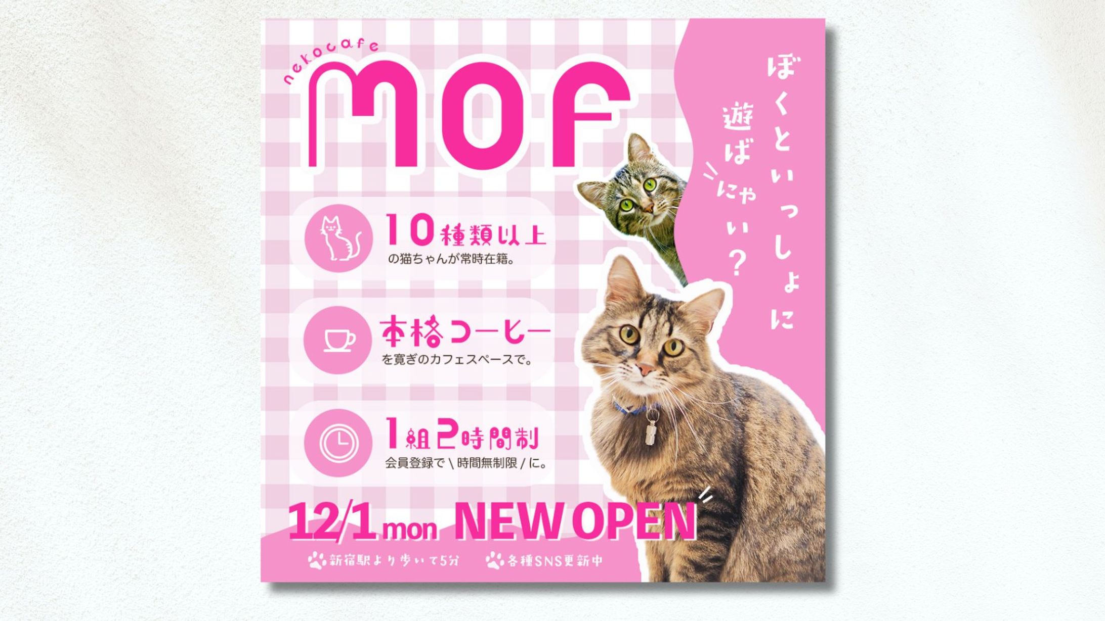 【制作実績】新規OPENの猫カフェ集客バナー-1