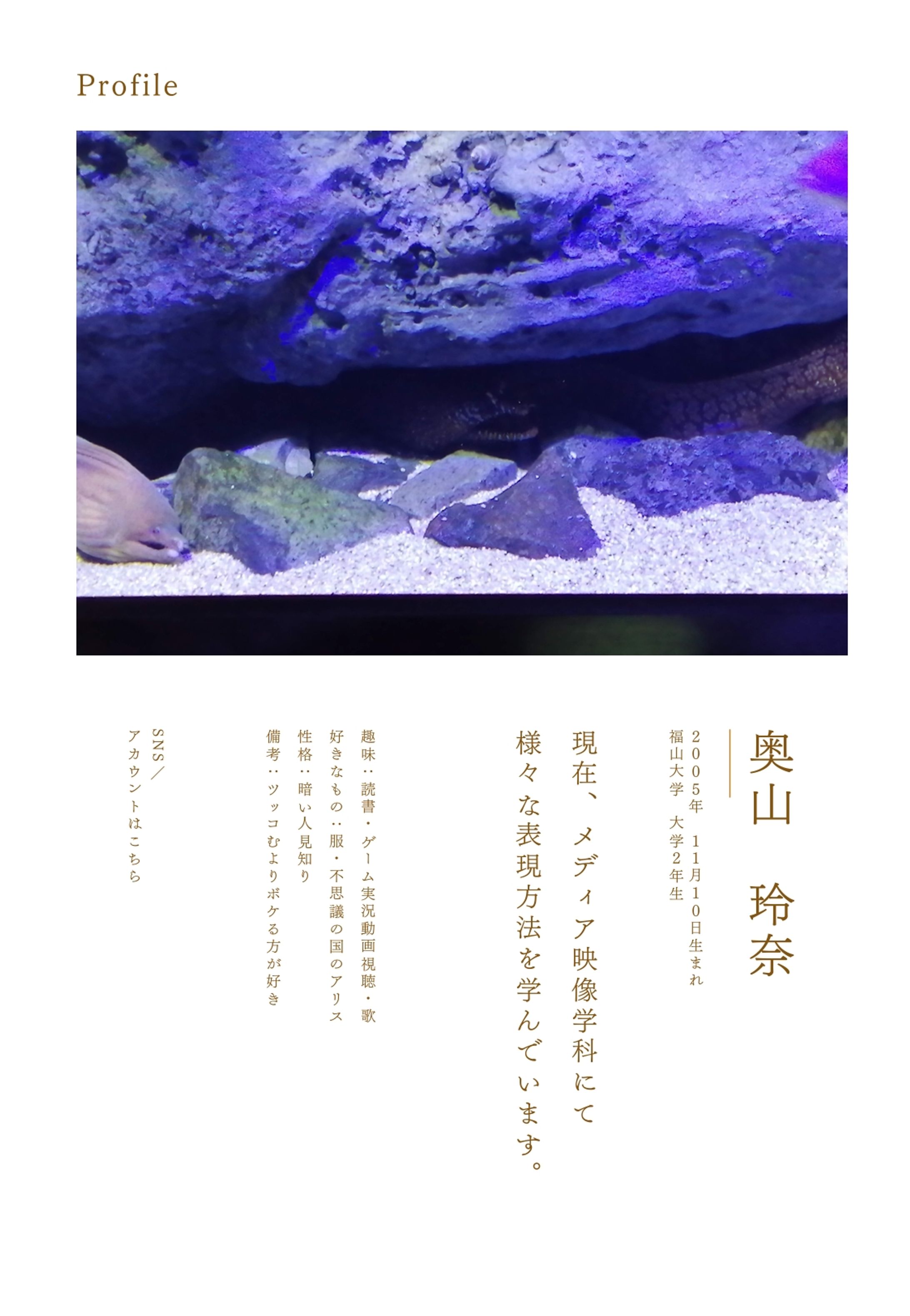 自己紹介-1
