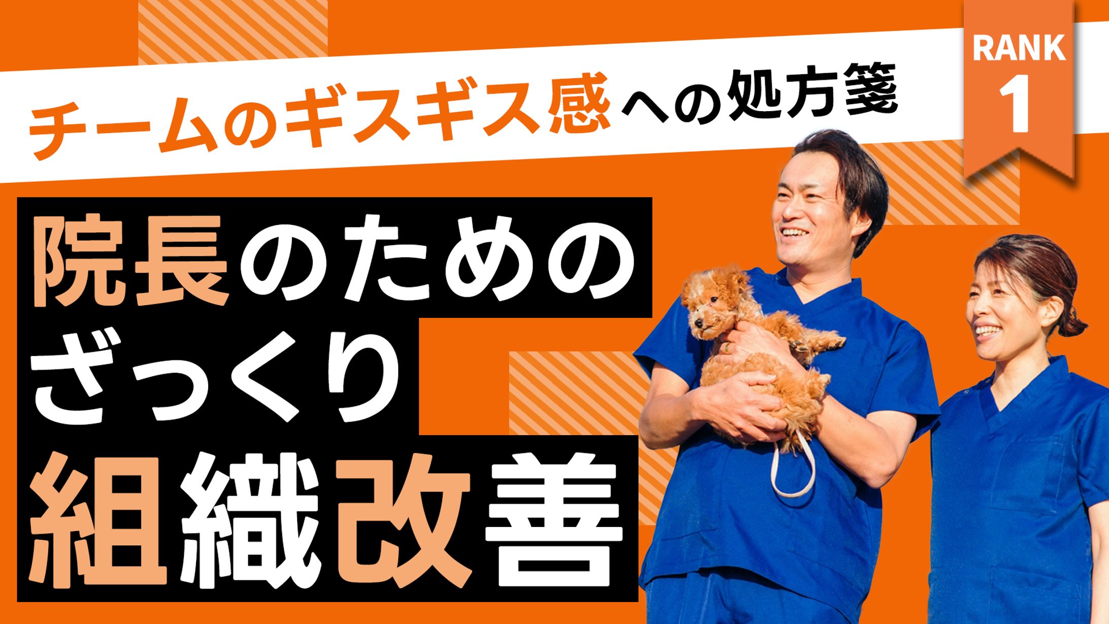 サムネイル：組織改善-1