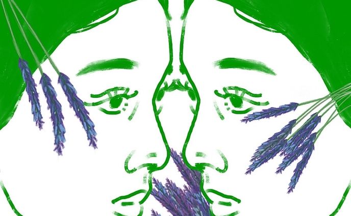 illustration_線画