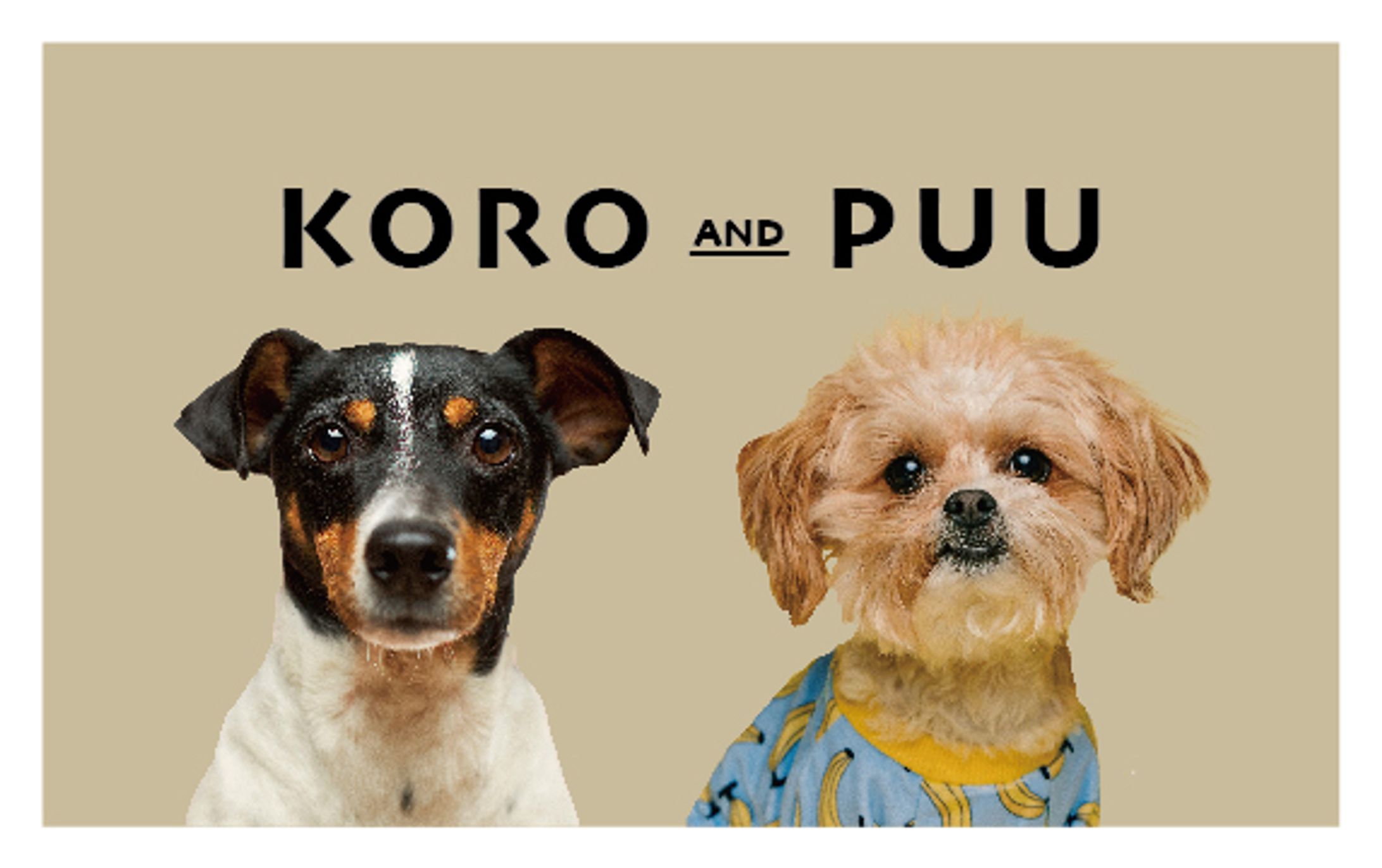 ペット名刺　２匹-1