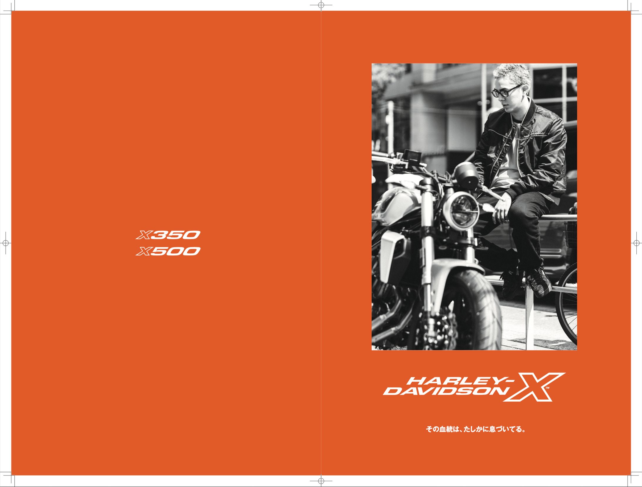 Harley-Davidson X-1