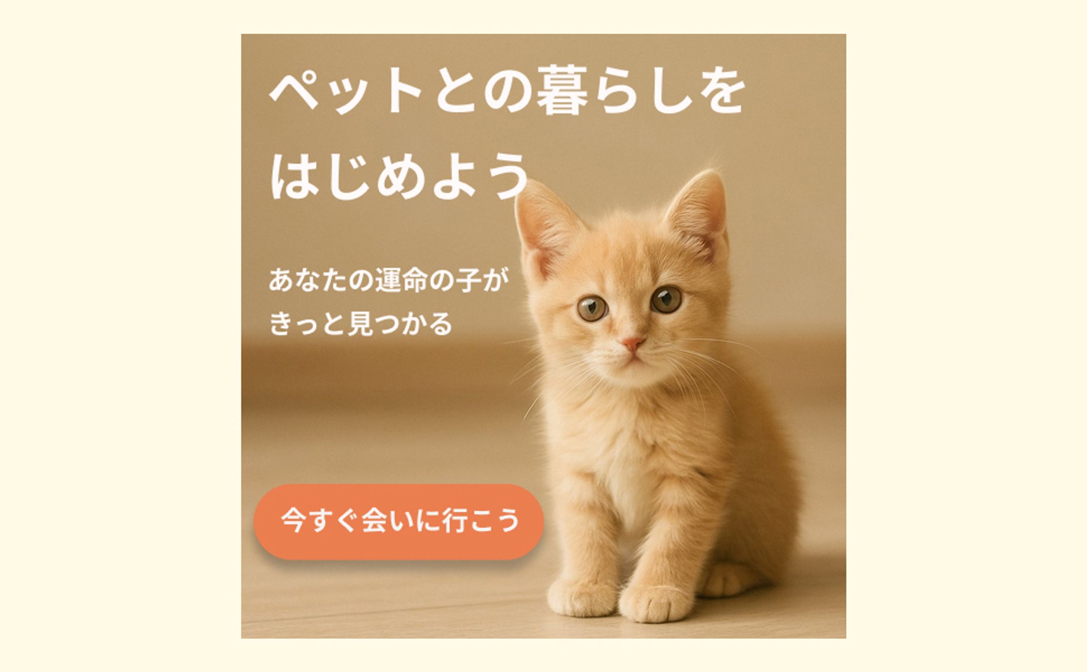 ペットショップ猫バナー-1