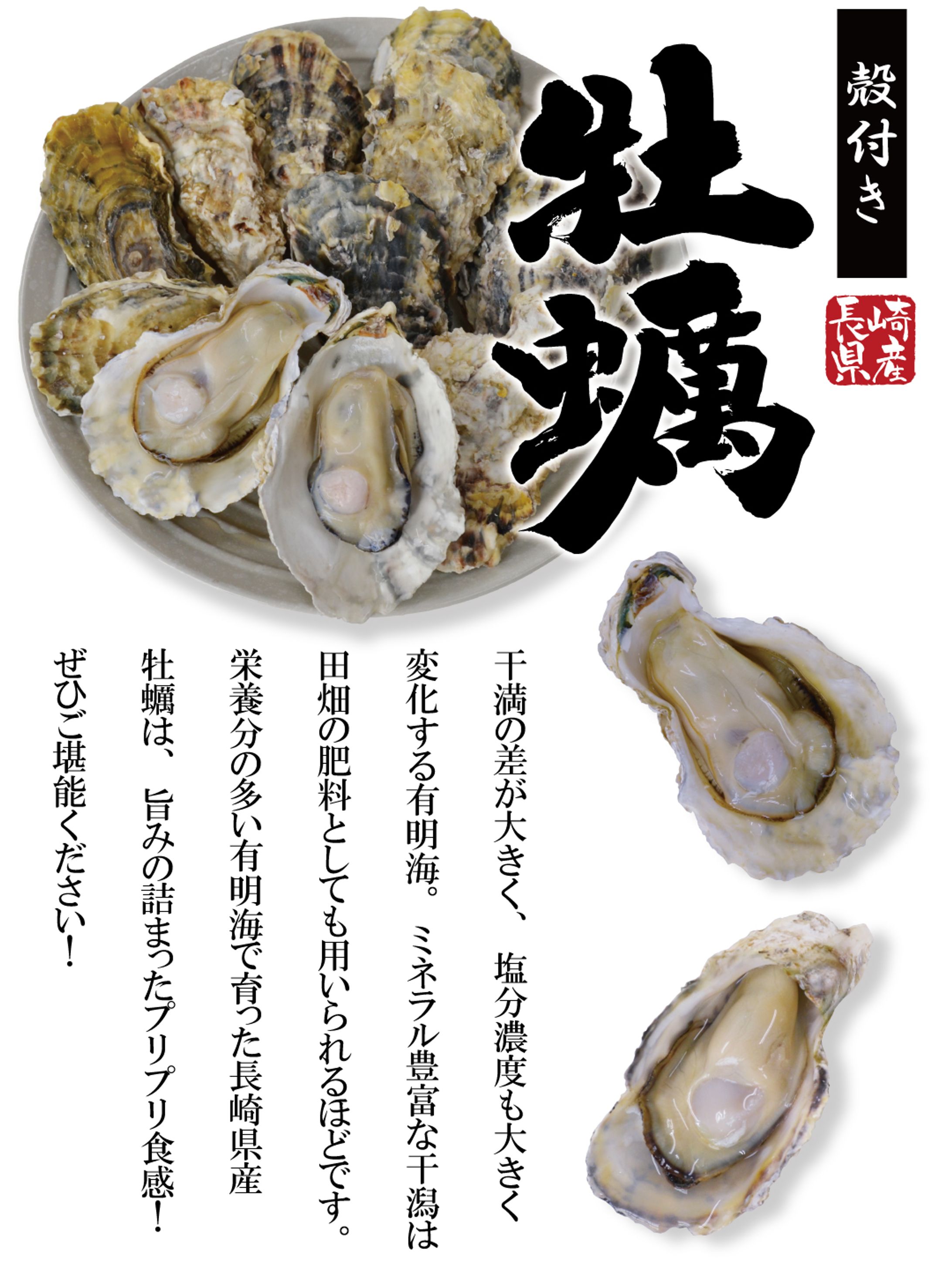 商品ページ：殻付き牡蠣-1