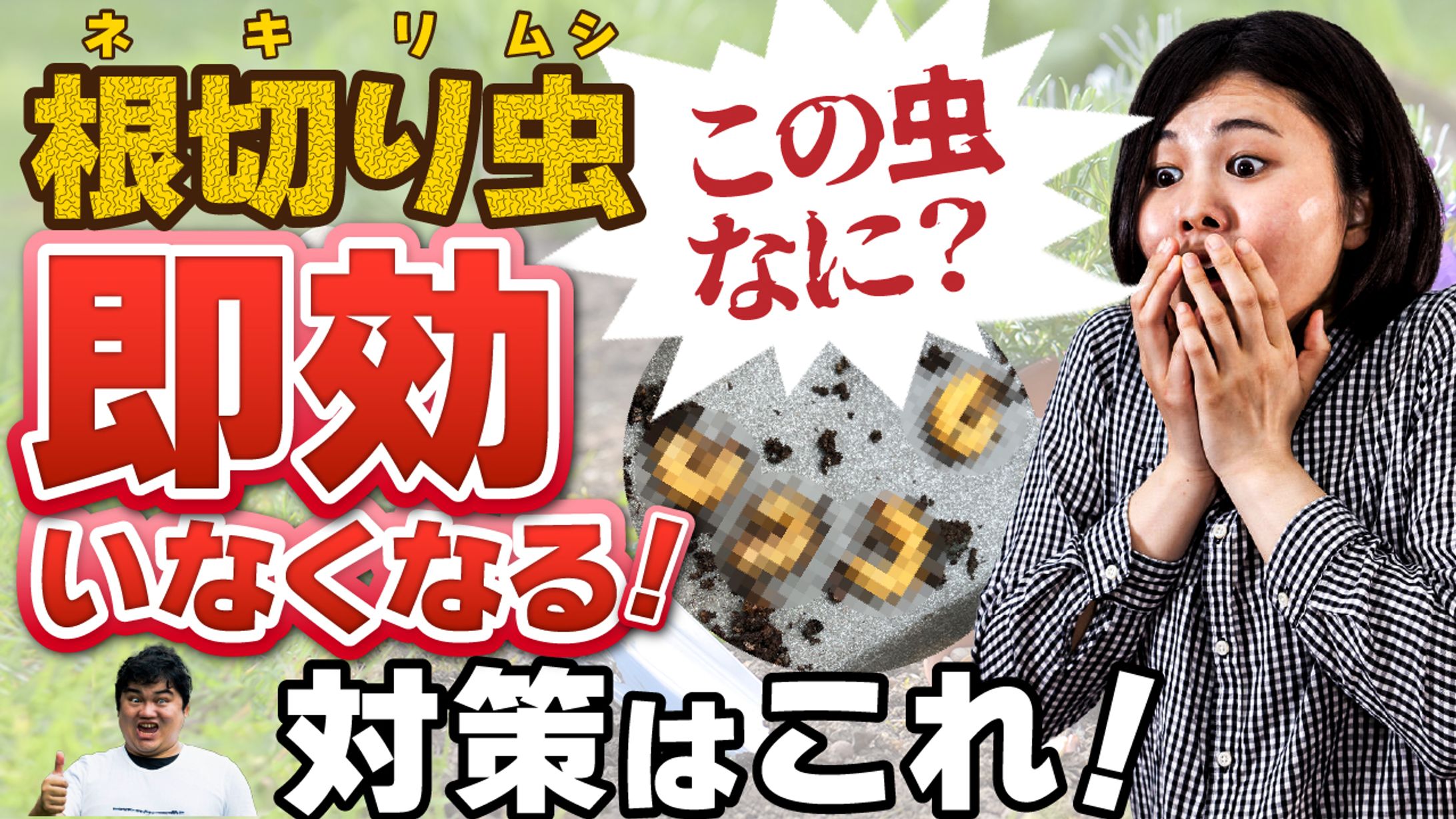 根切り虫に驚くオリジナルサムネ-1