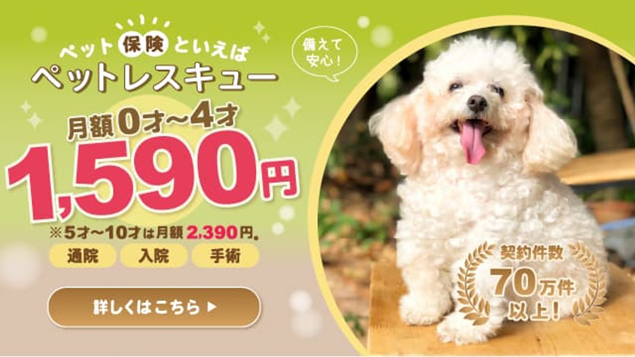 ペット保険系バナー-1