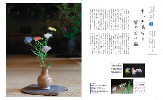 京都の花屋みたて　連載