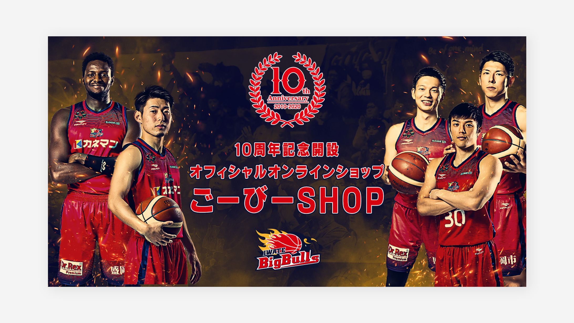 バナー,ポスターデザイン/岩手ビックブルズ-1