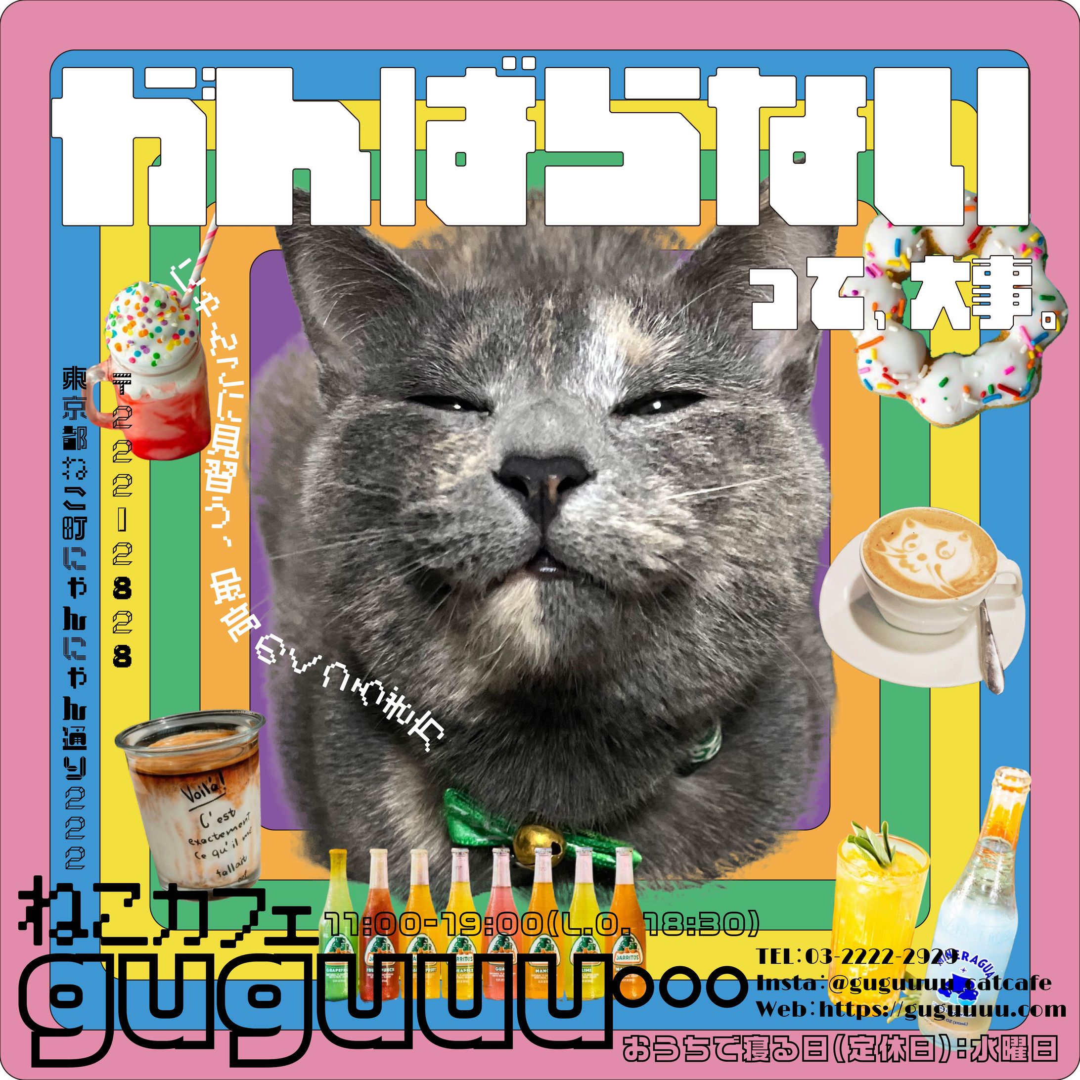 ねこカフェ_SNS用広告-1