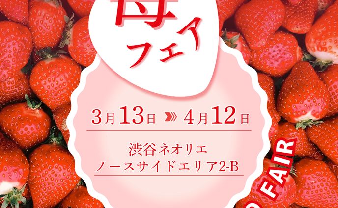 架空依頼【苺フェア広告バナー】