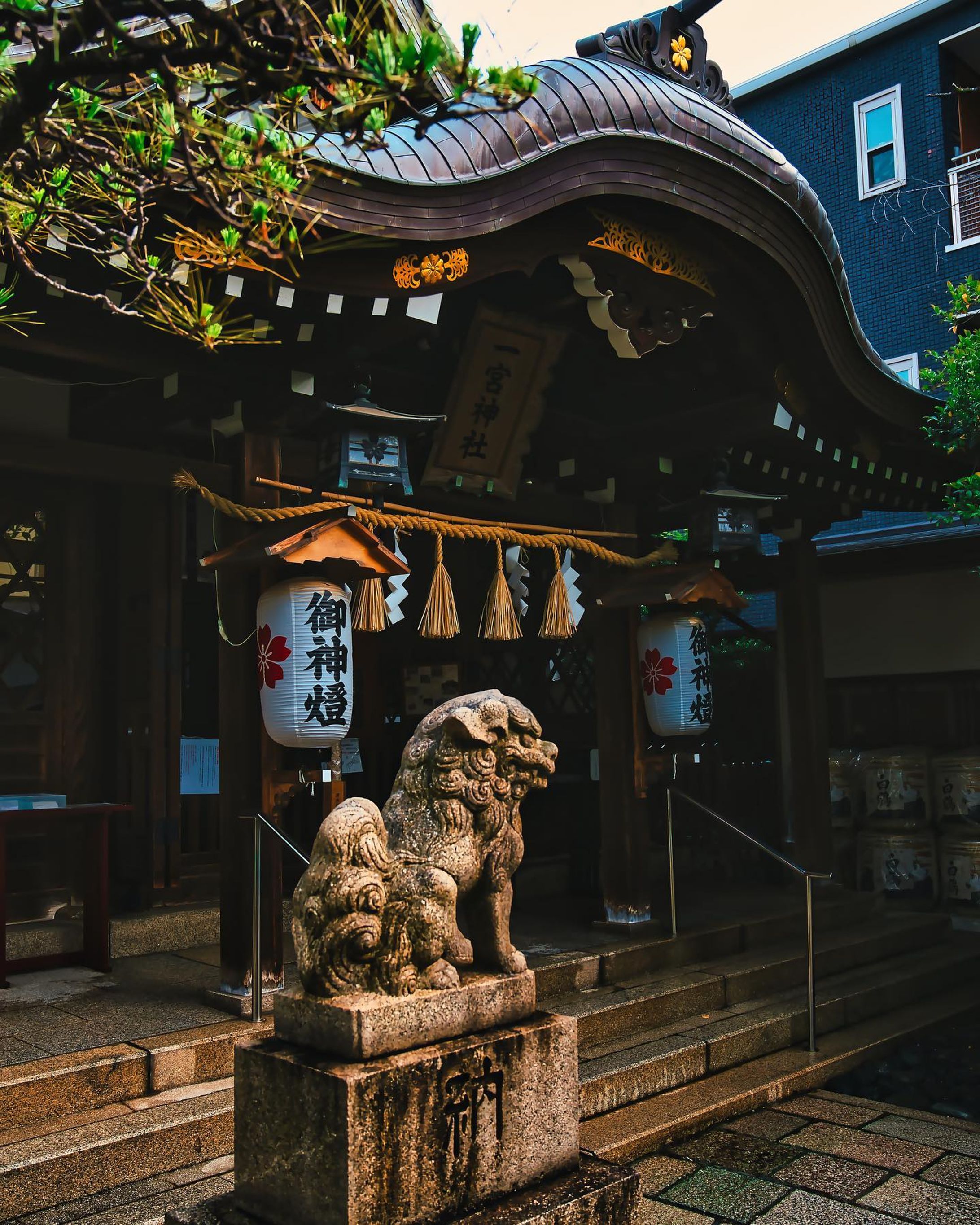 一宮神社
先日神戸写真家サークルで八宮巡り早朝フォトウォークに行ってきた写真を投稿します！

ーーーーーーーーーーーー

ご覧頂きありがとうございます
気軽にフォローして貰えると嬉しいです！

Thank you for watching.
If you like it, please follow me.

▷ @takumapictures 

ーーーーーーーーーーーーーー

LOCATION：神戸市 一宮神社
CAMERA ：SONY a7Ⅳ
LENS：SONY FE24-70mm F2.8GM
FE：30mm
ISO：100
F値：F4
SS：1/200

撮影のご依頼はDMから宜しくお願い致します

神戸写真家サークルメンバー
神戸写真家サークルで一緒に写真を撮りにいきませんか！？
只今メンバー募集中
▷ @kobephotographercircle 

#takumapictures 
#タクマピクチャーズ 
#sonya7iv 
#神戸観光 
#一宮神社 
#神社 
#神社巡り 
#神戸写真家サークル 
#風景写真 
#写真好きな人と繋がりたい 
#カメラ好きな人と繋がりたい 
#カメラ垢フォロバします 
#写真垢フォロバします 
#アニメのワンシーンのように 
#カメラ男子 
#カメラ女子 
#写真で伝えたい私の世界 
#ファインダー越しの私の世界 
#ファインダー越しの世界 
#キリトリセカイ 
#shrine 
#landscape #landscapephotography #japan #japantravel #sel2470gm #sonyfe2470gm #alpha_newgeneration 
#⛩️-1