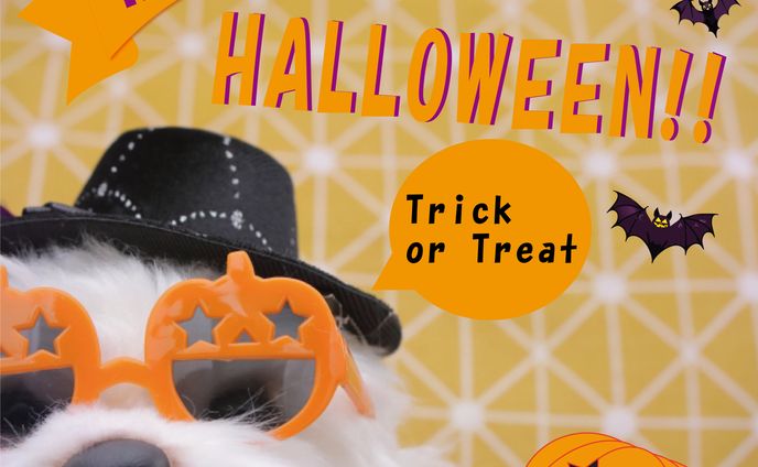 halloween 1.2