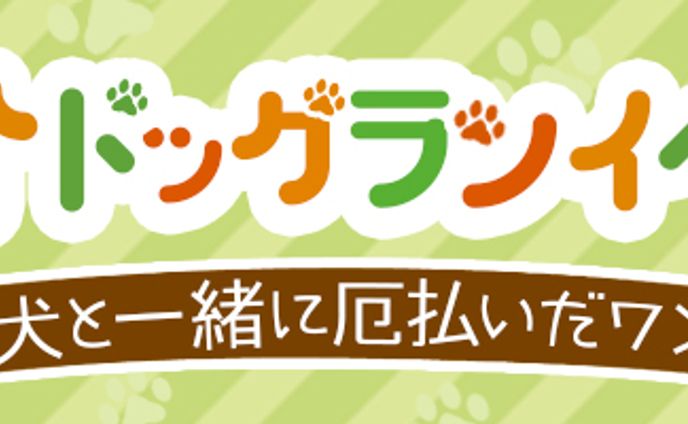 School課題(入門)_横長バナー_L5_03_S