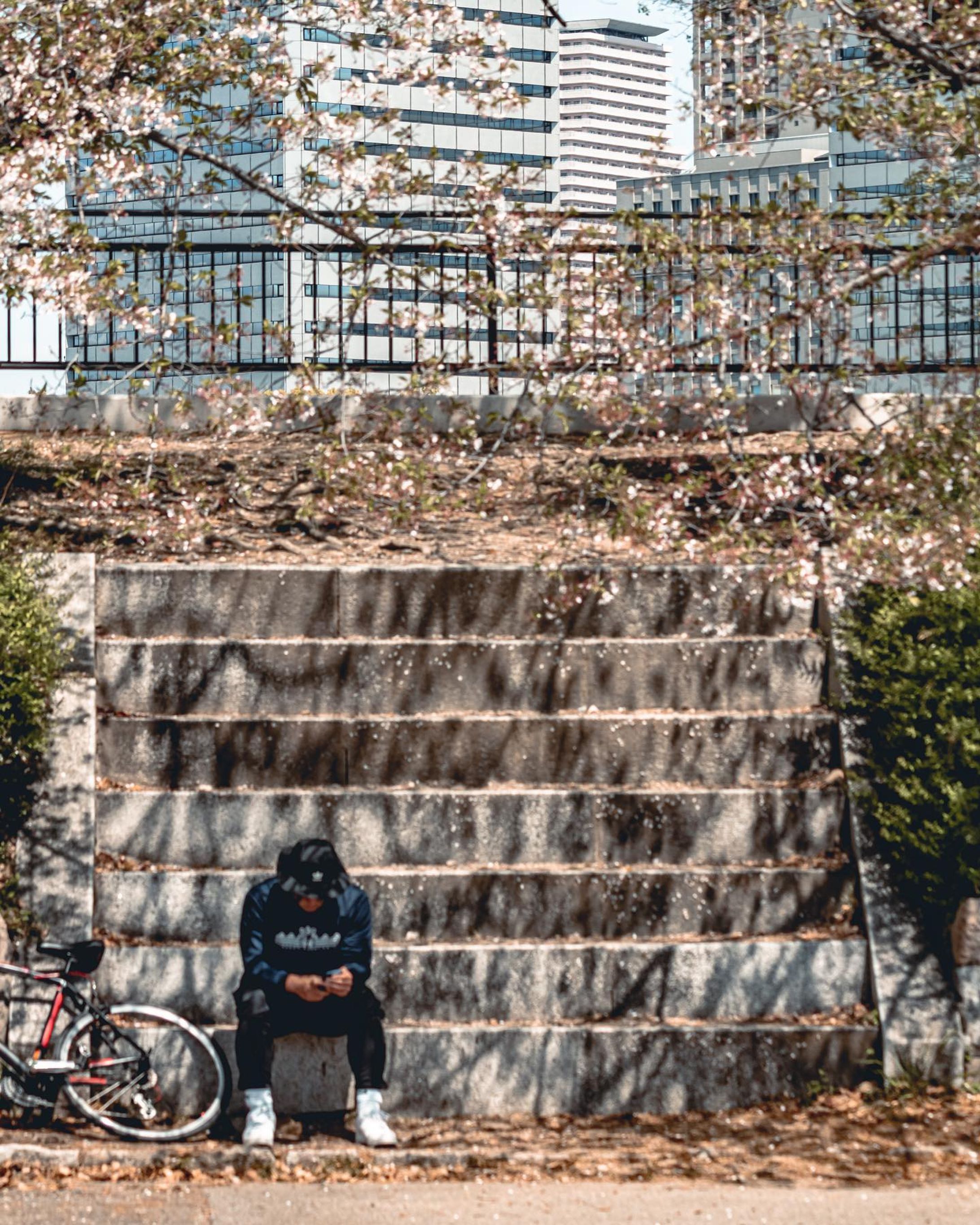 .
🌶
.
.
(at. #大阪城公園 )
.
 #osakacastle 
#streetsnap #japan_daytime_view
#streetphotography #streetshootjapan #urbanandstreet #streetclassics #streetactivity #street_photo_daily
#street_incity #streetview #streetleaks #streetlife #streetartjaponism #best_moments_street #japancityblues 
#路地裏 #スナップ写真
#ファインダー越しの私の世界 #写真好きな人と繋がりたい
#大阪 #大阪観光 #osakajapan  #osakatrip-1