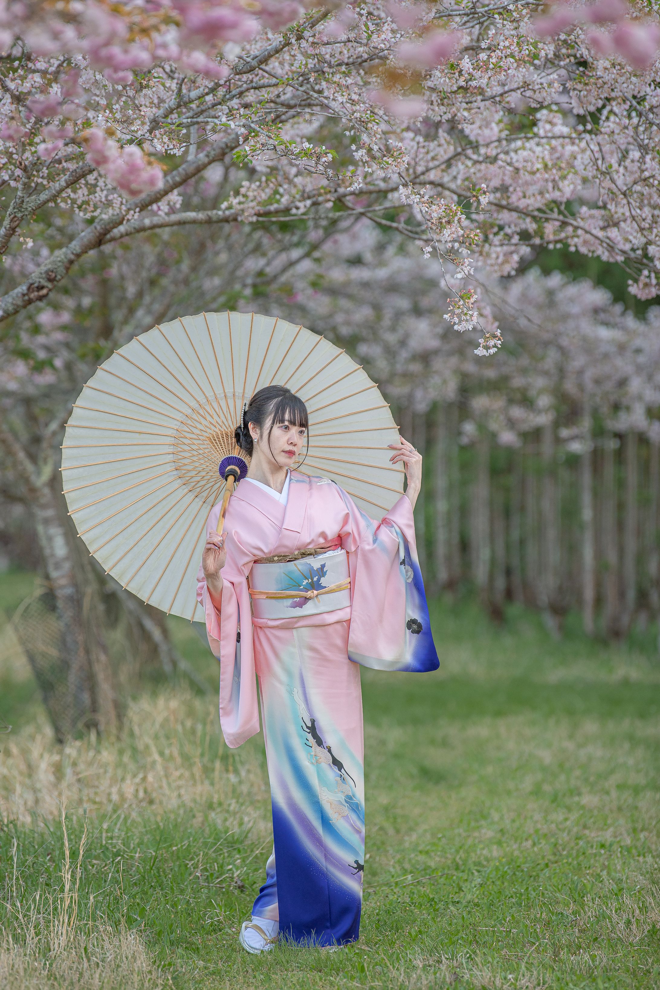 京都着物ポートレート-1