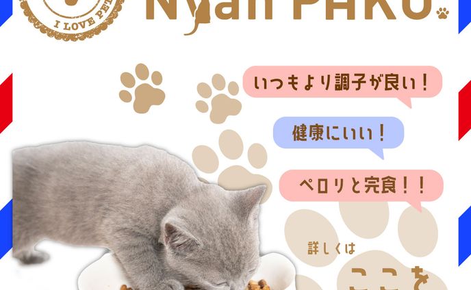 オリジナルキャラクター、instagramバナー