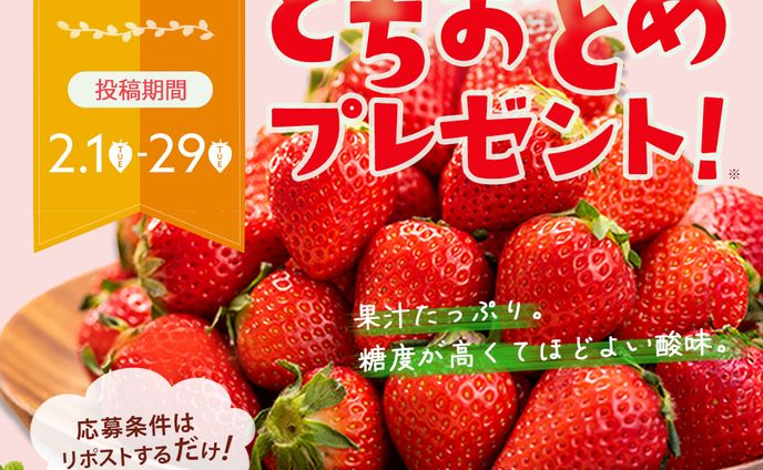 飲食系バナーサンプル2