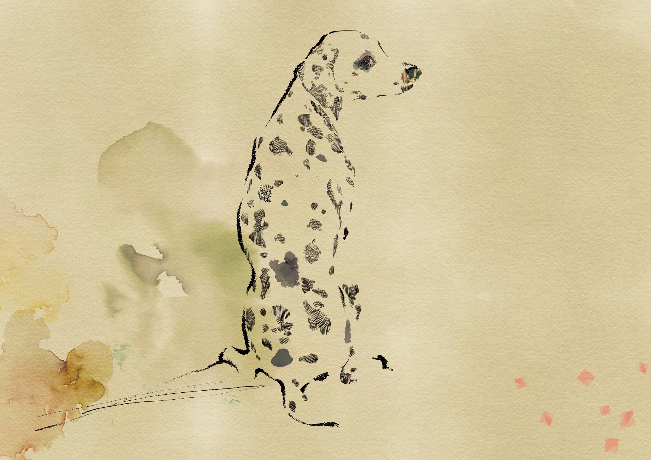 dogs❤︎-1