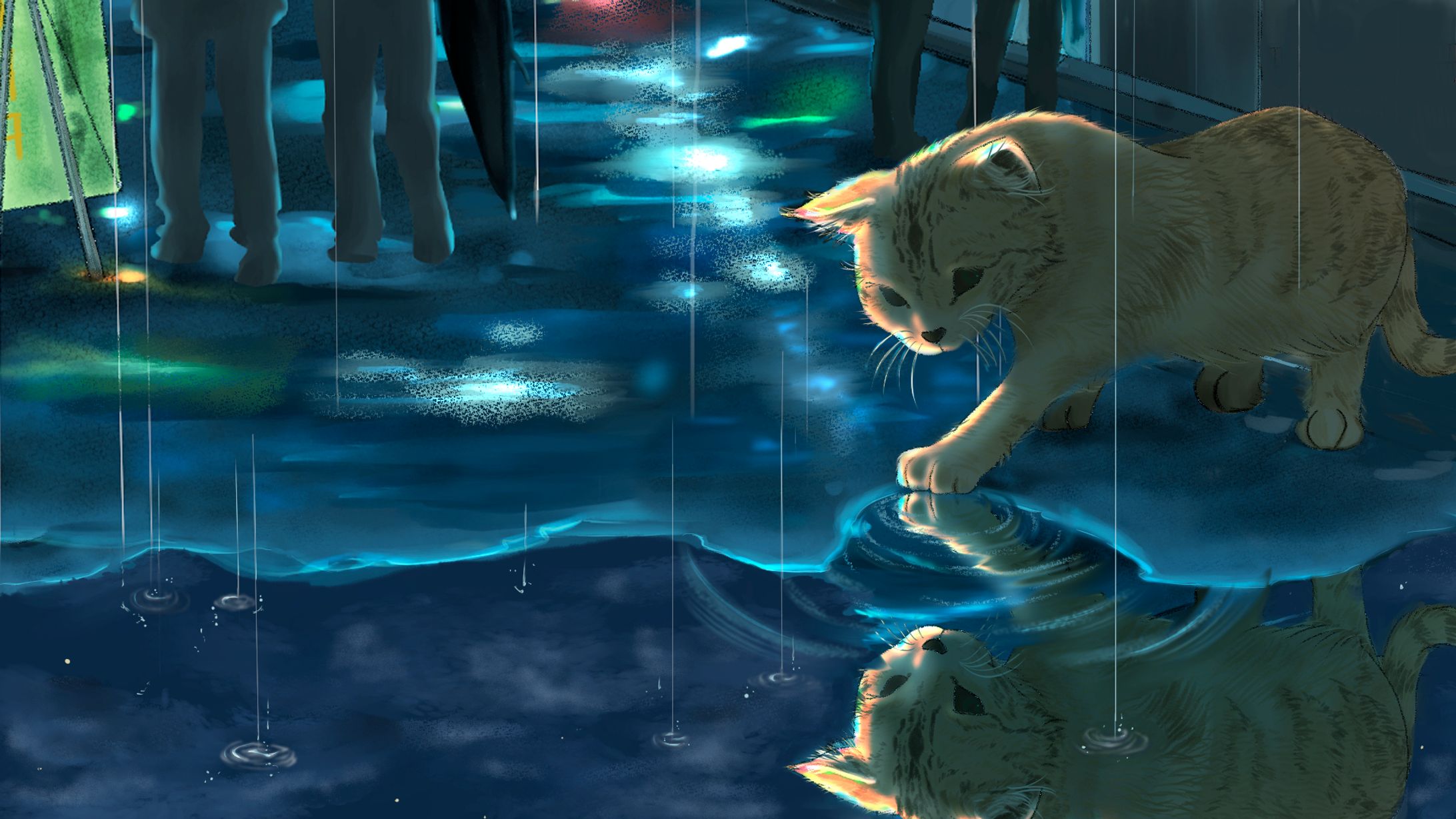 雨ねこ-1