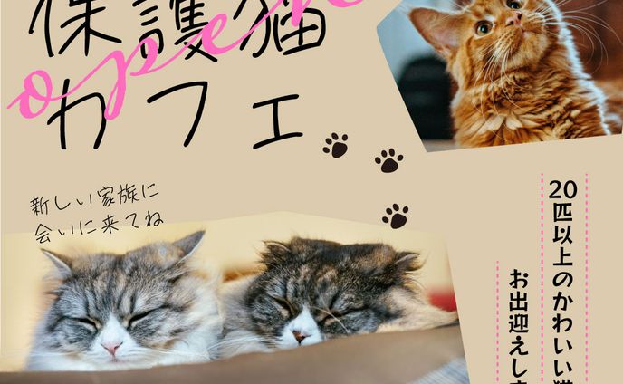 エフェクト、webバナー