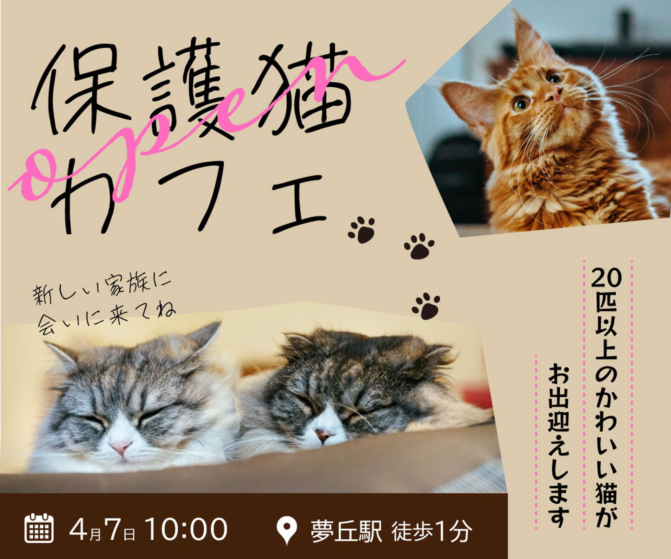 保護猫カフェWebバナー-1